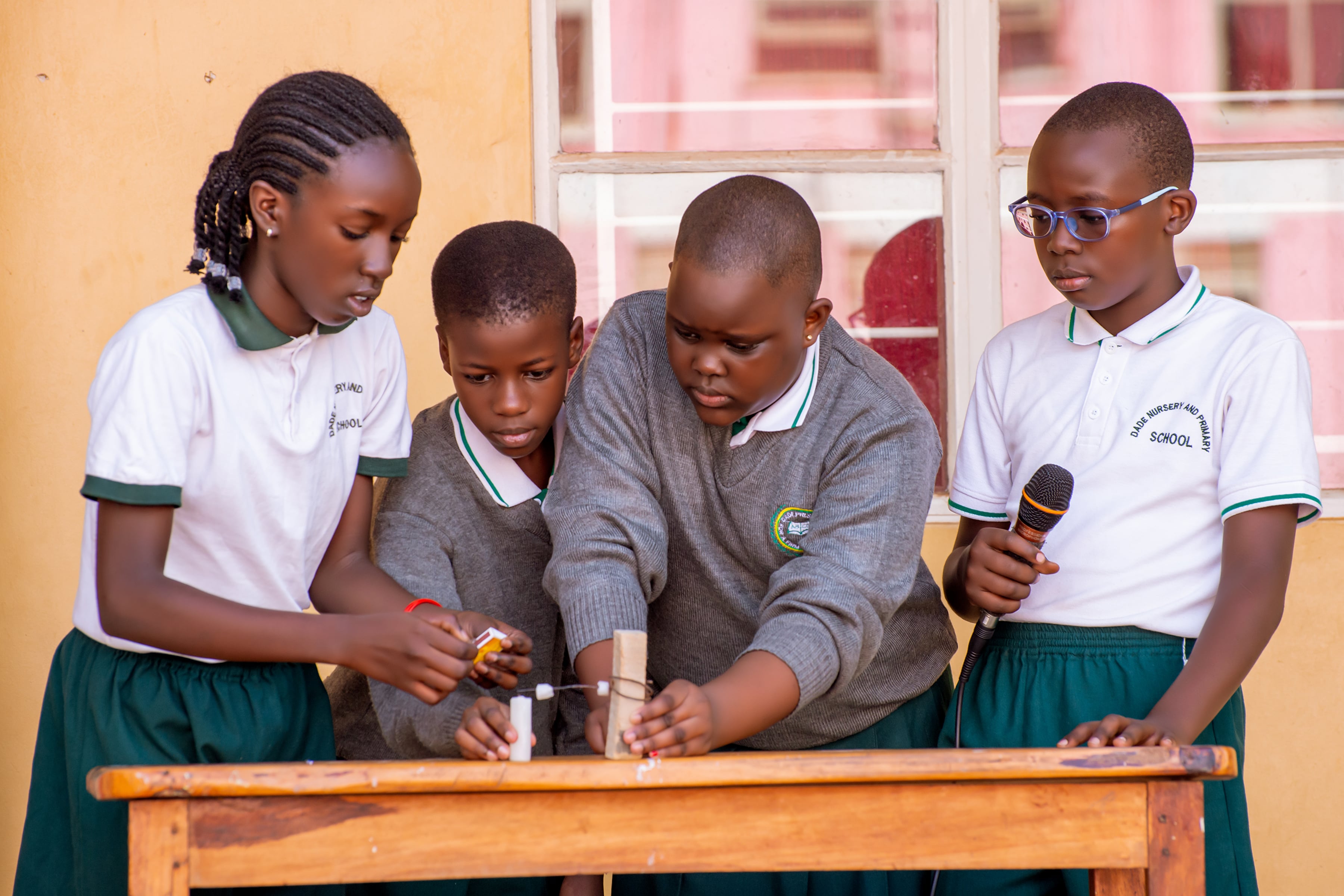 Primary School Management